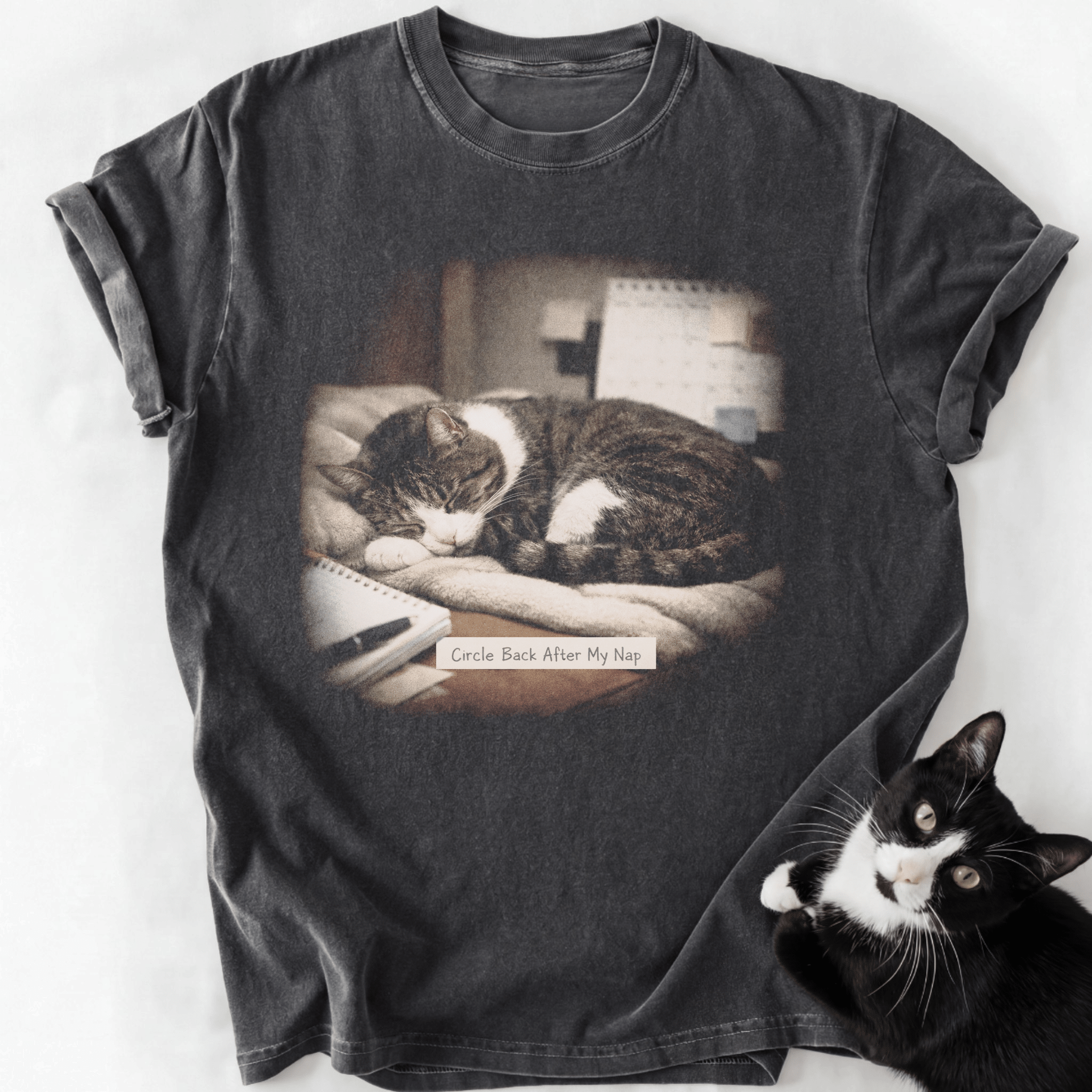 Dark gray vintage cat graphic tee with 'Circle Back After My Nap' text