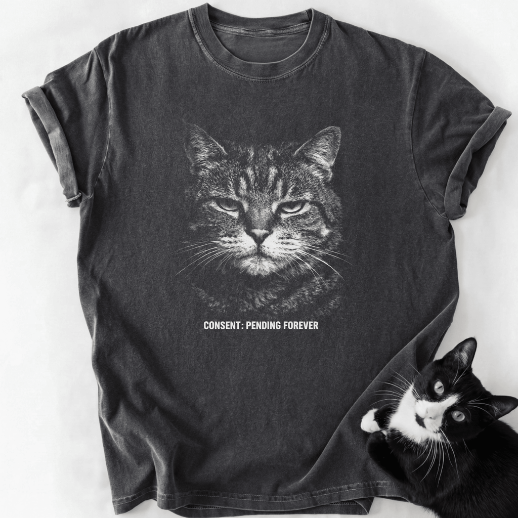 Dark gray stone-washed Consent Pending Forever cat t-shirt