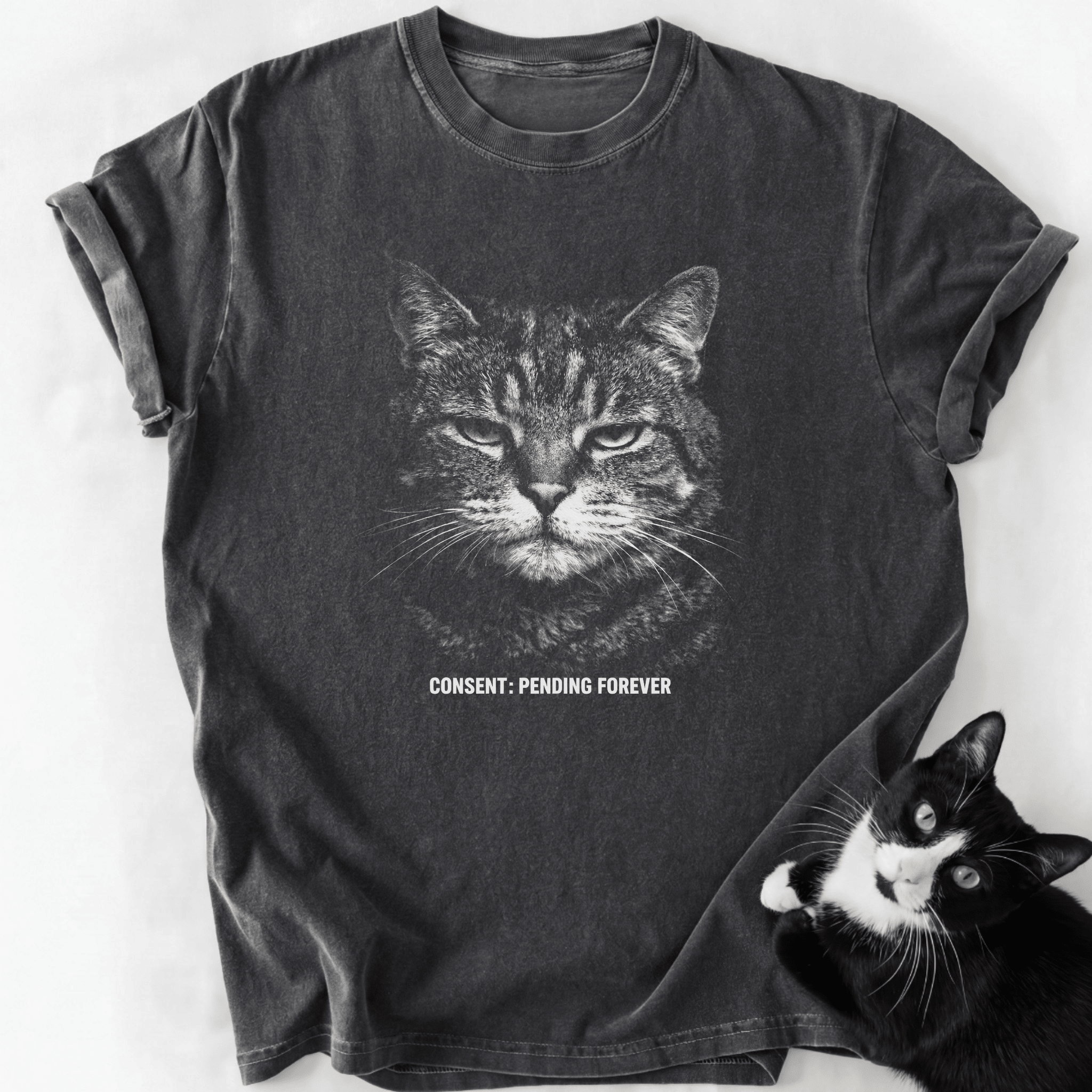 Dark gray stone-washed Consent Pending Forever cat t-shirt