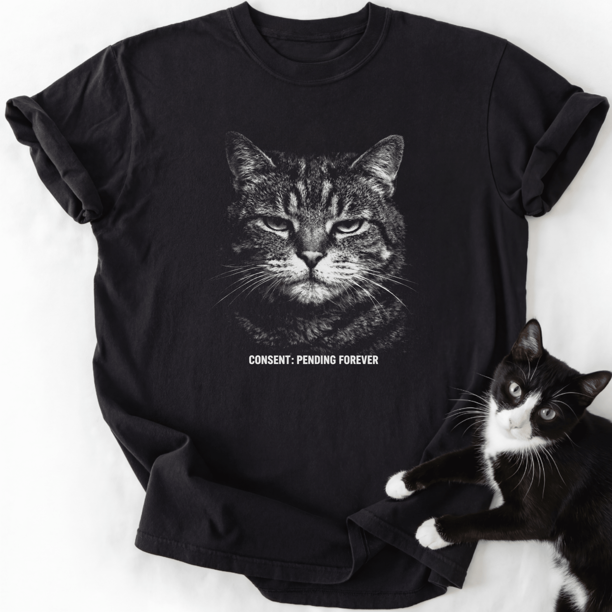 Black Consent Pending Forever cat graphic tee with tabby face design