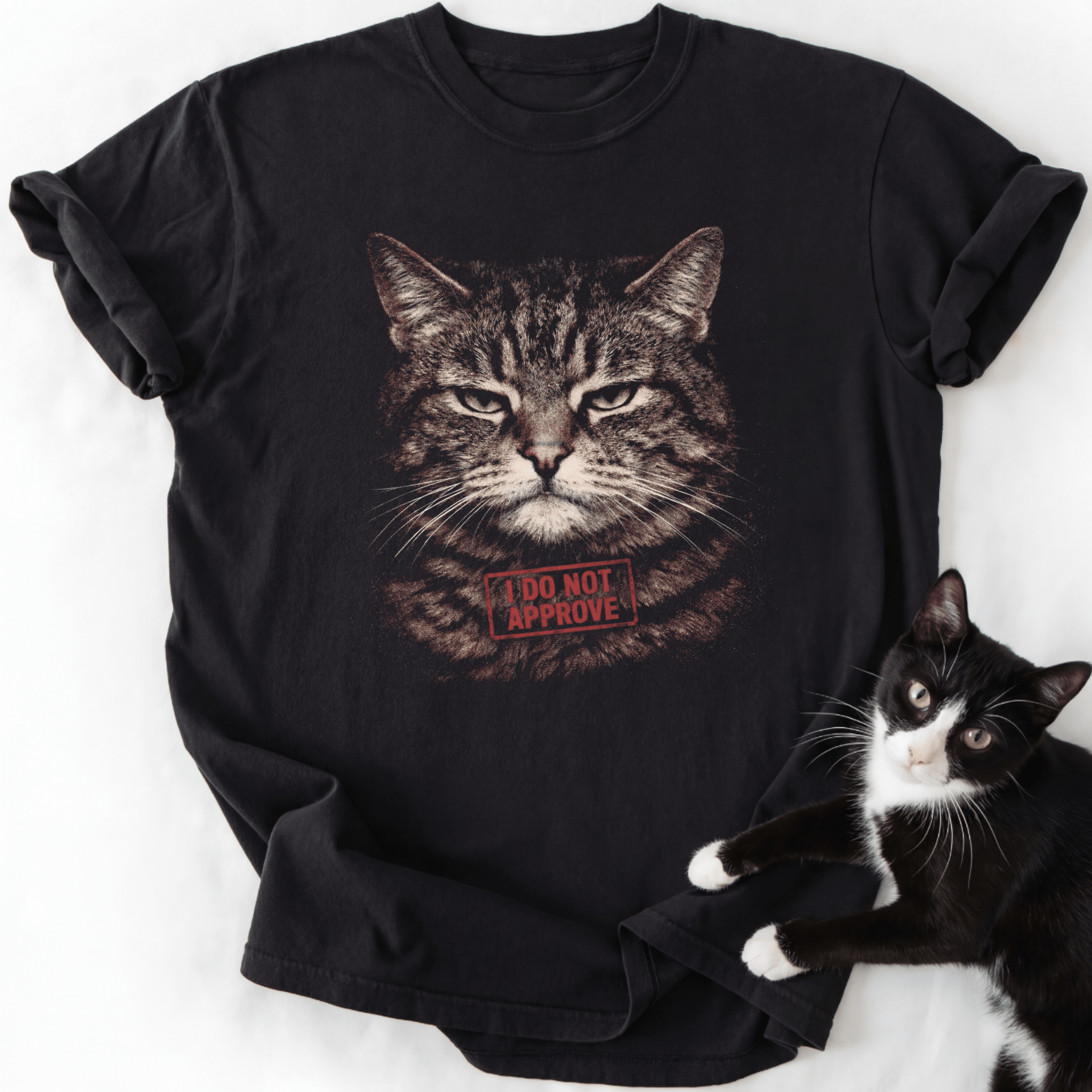 Black I Do Not Approve cat graphic tee with stern tabby face and red stamp