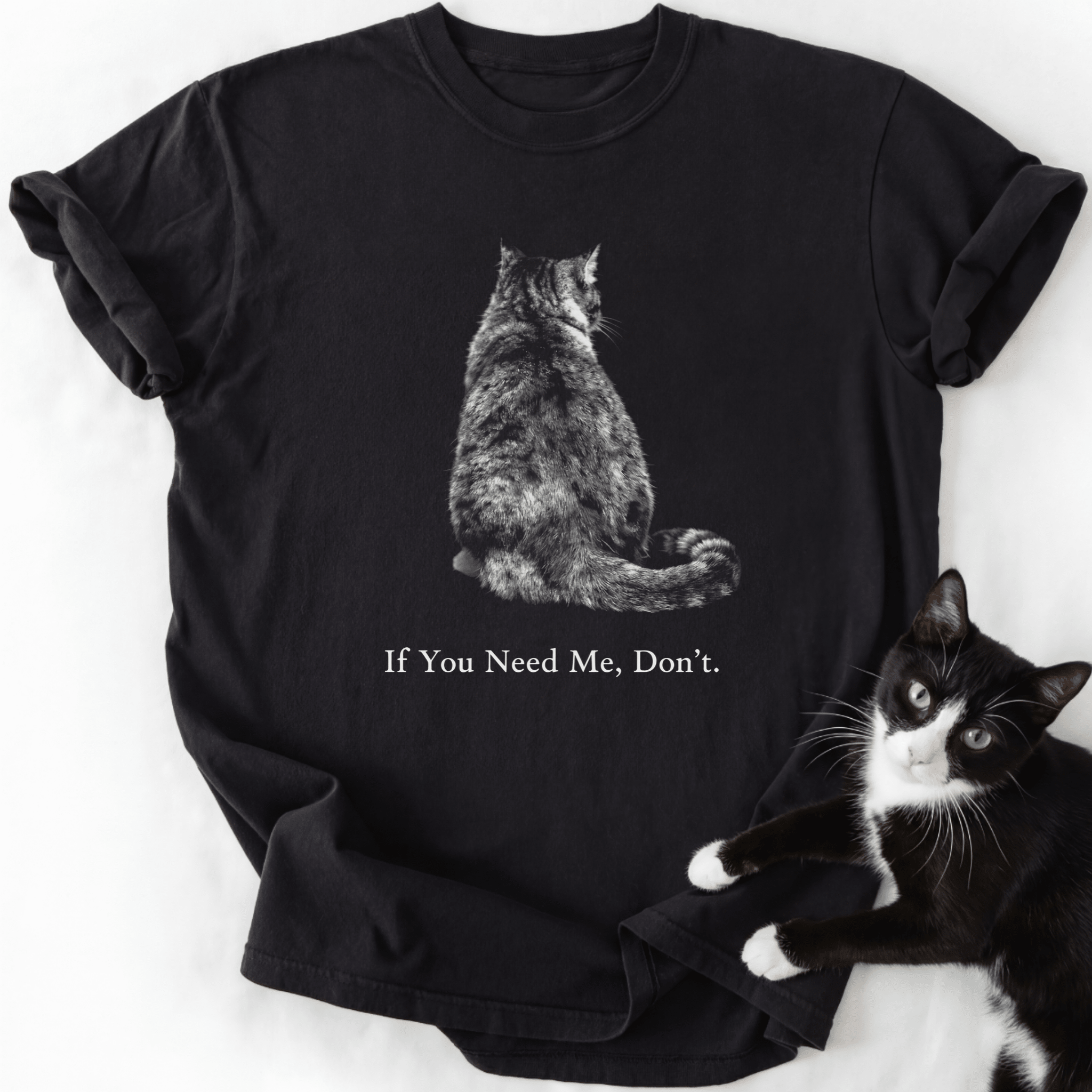 Black cat graphic tee with 'If You Need Me, Don't' text and live cat