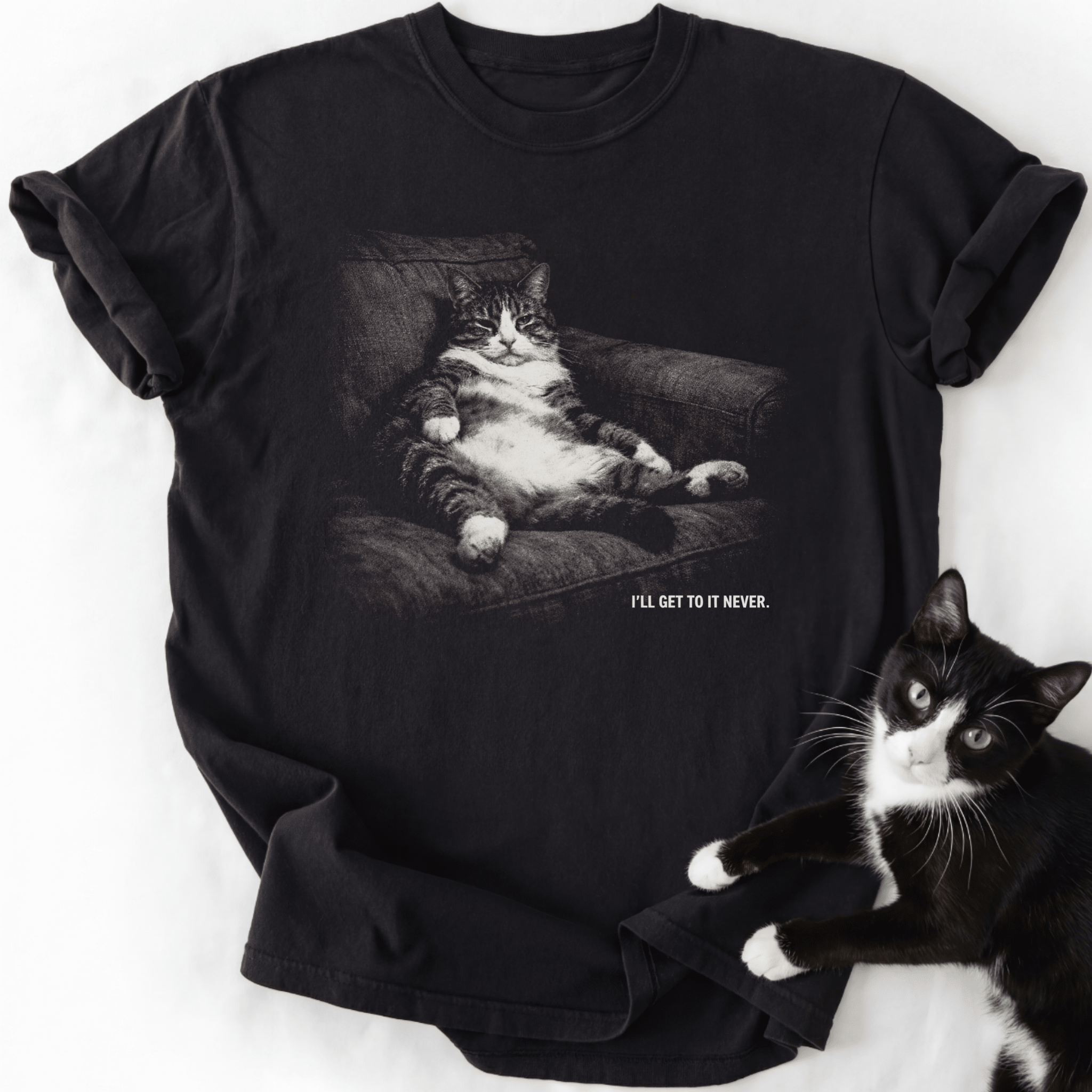 Black short sleeve tee featuring relaxed fit cat in armchair design and humorous quote