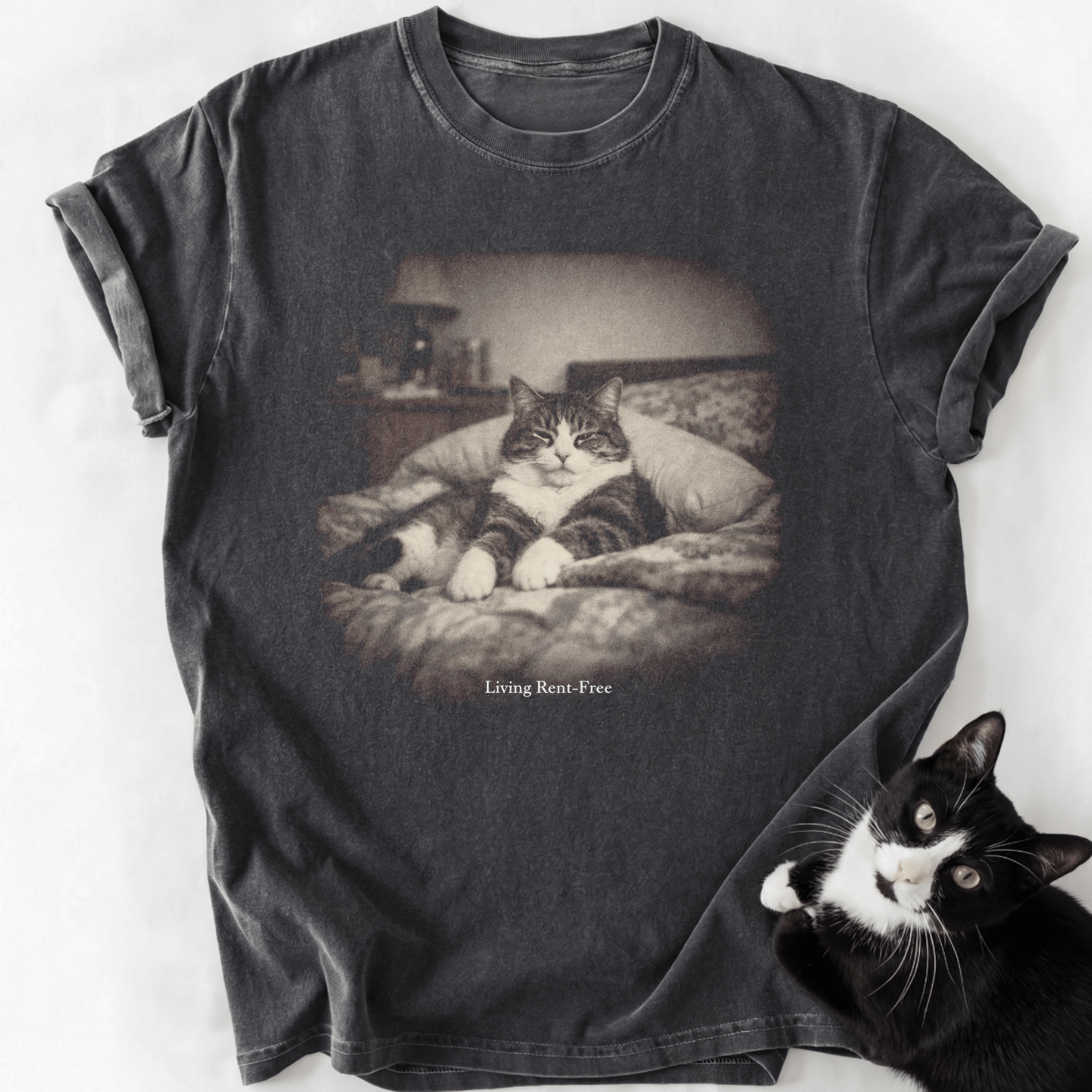 Dark gray vintage cat graphic tee with Living Rent-Free text and soft-washed cotton