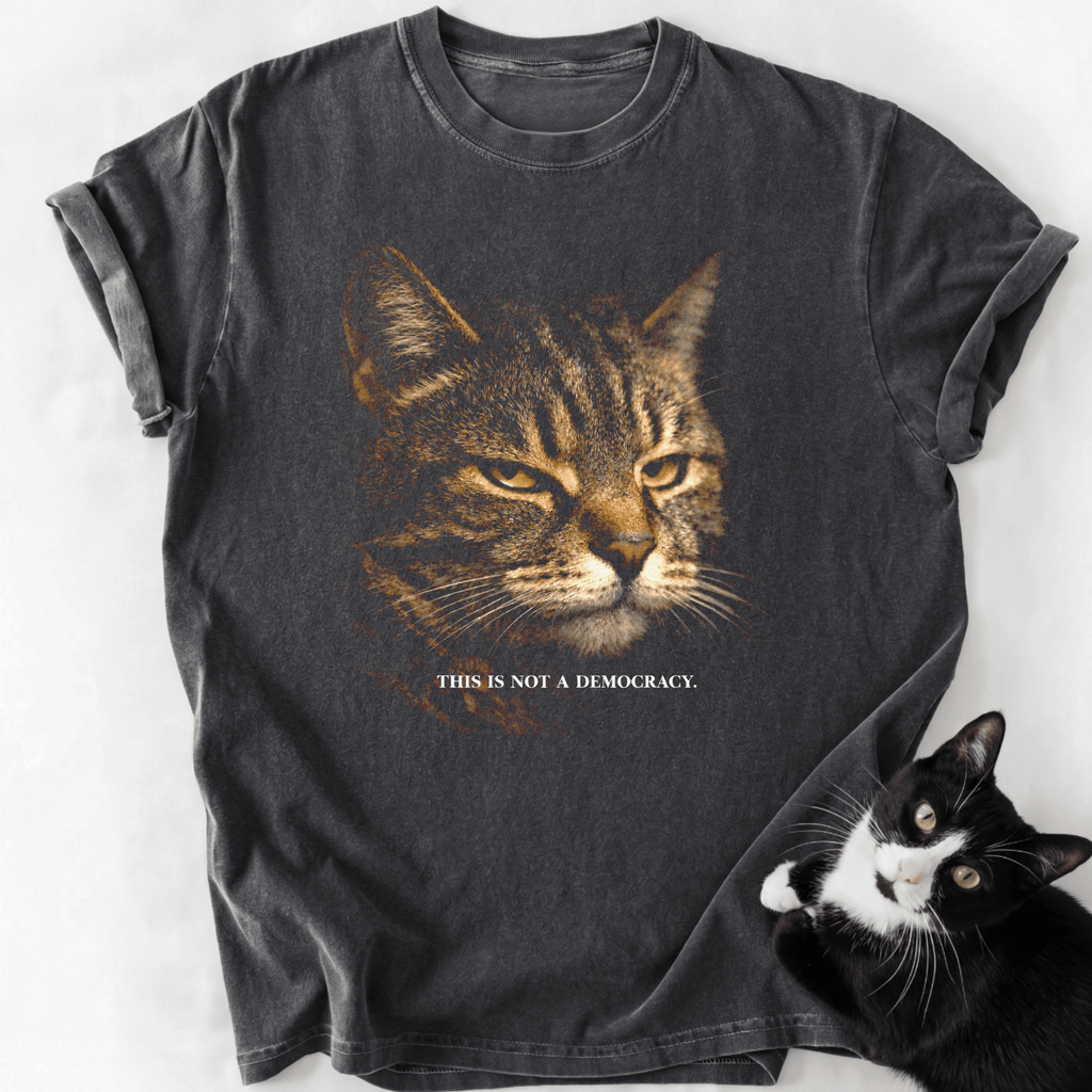 This Is Not A Democracy T-Shirt