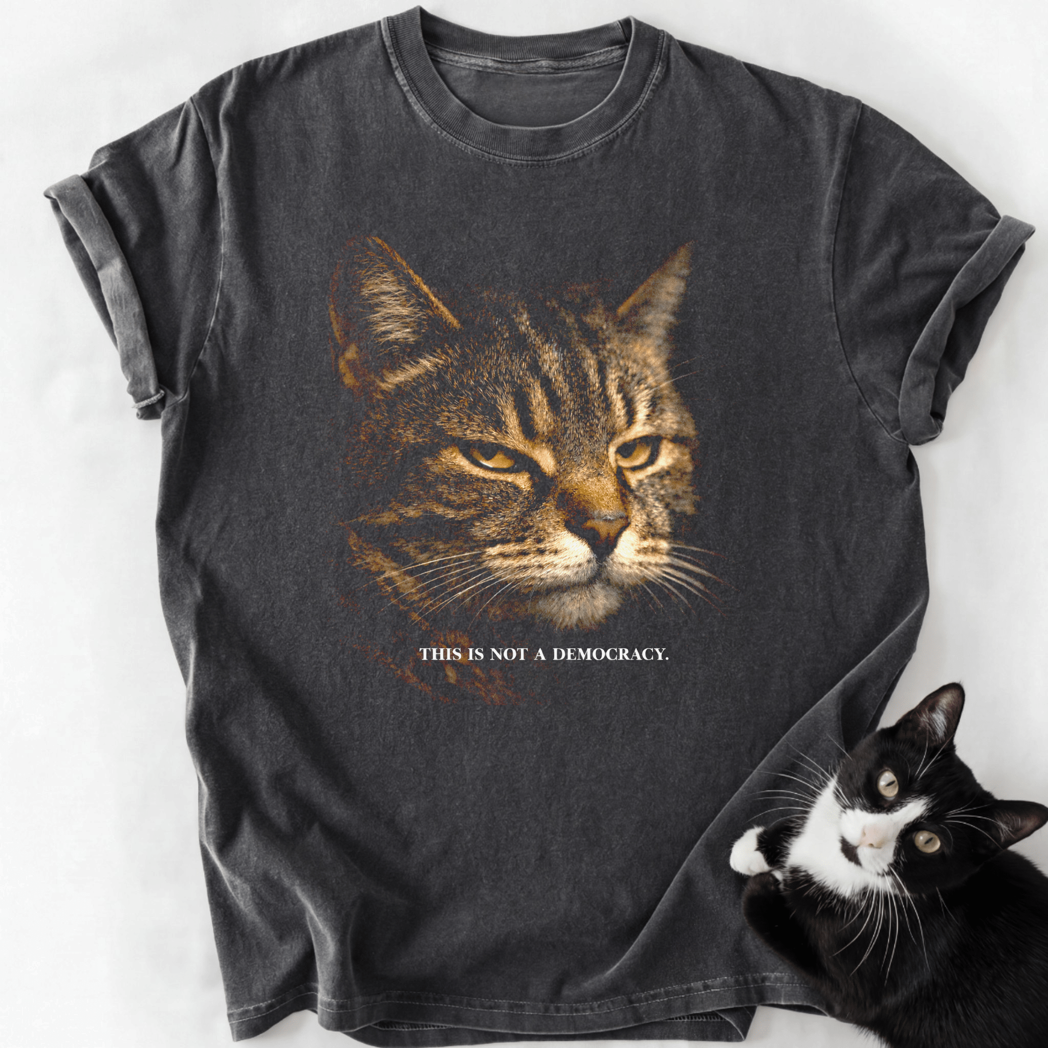 This Is Not A Democracy T-Shirt
