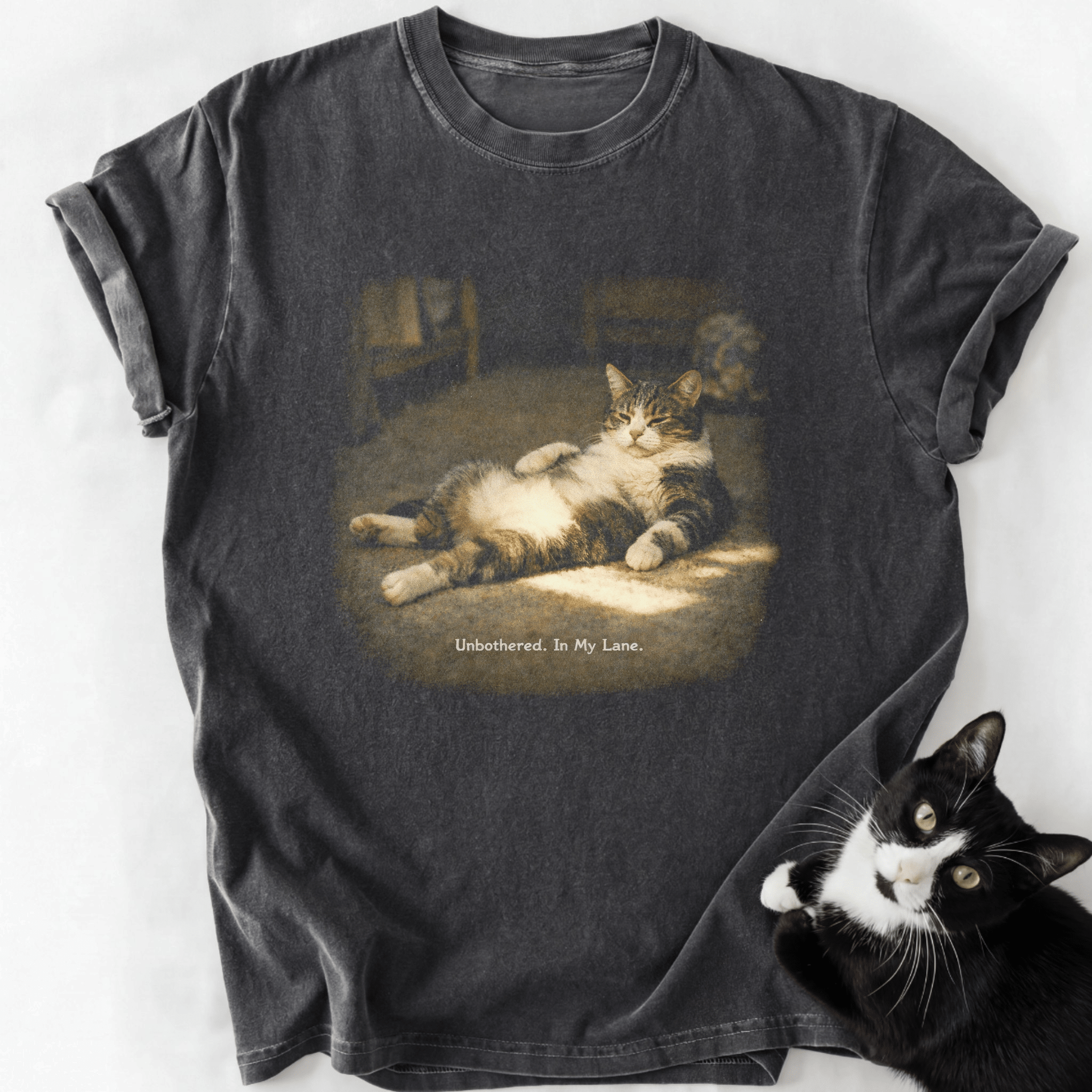 Dark gray heathered cotton tee with vintage cat design and soft-washed texture