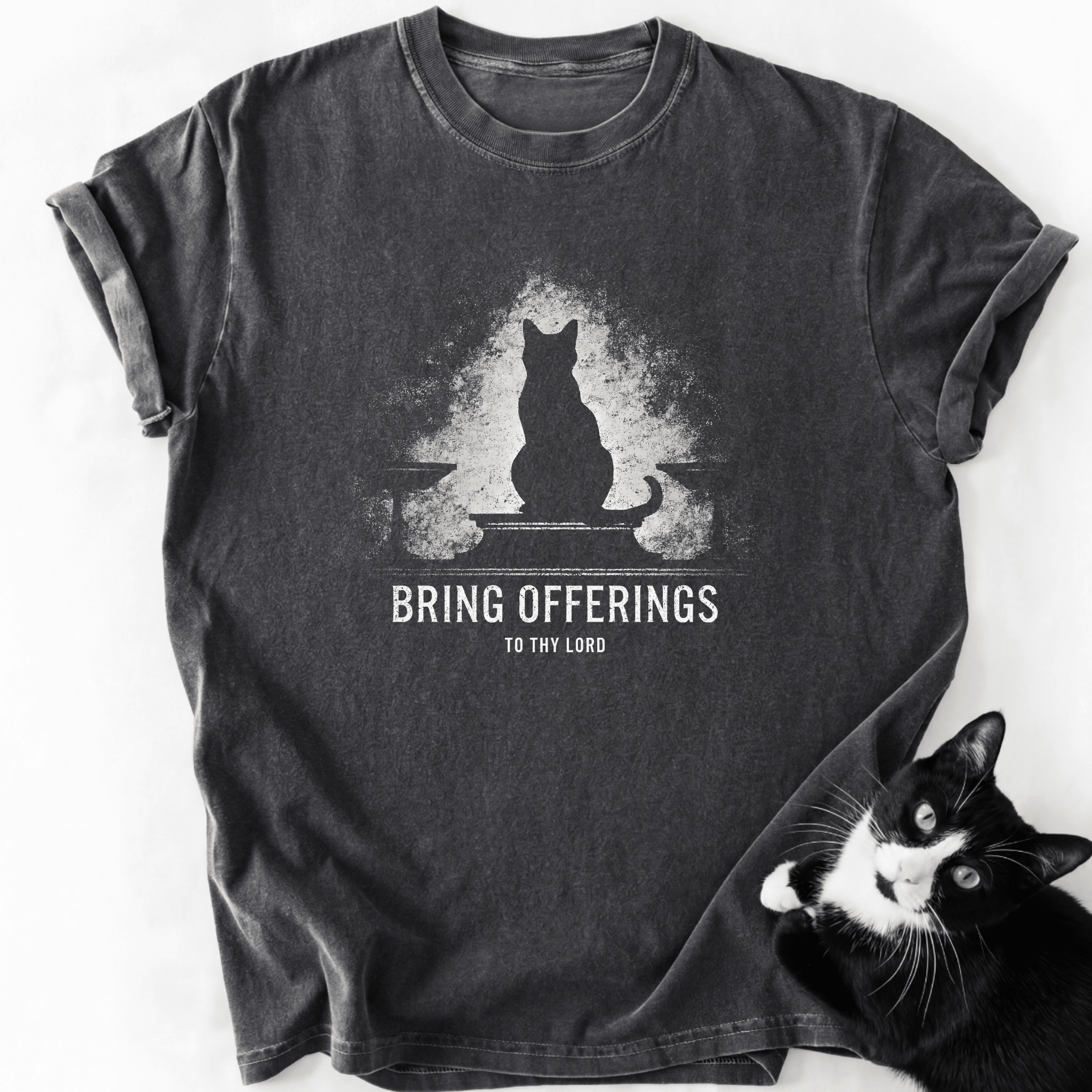 Dark gray Furalo Bring Offerings cat graphic tee with relaxed fit