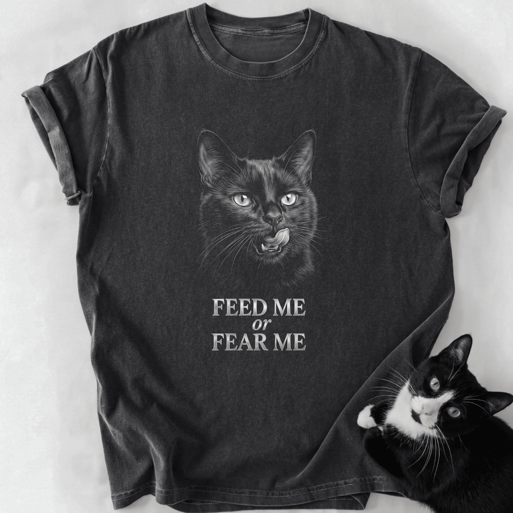Dark gray garment-dyed Feed or Fear Me cat t-shirt with relaxed fit
