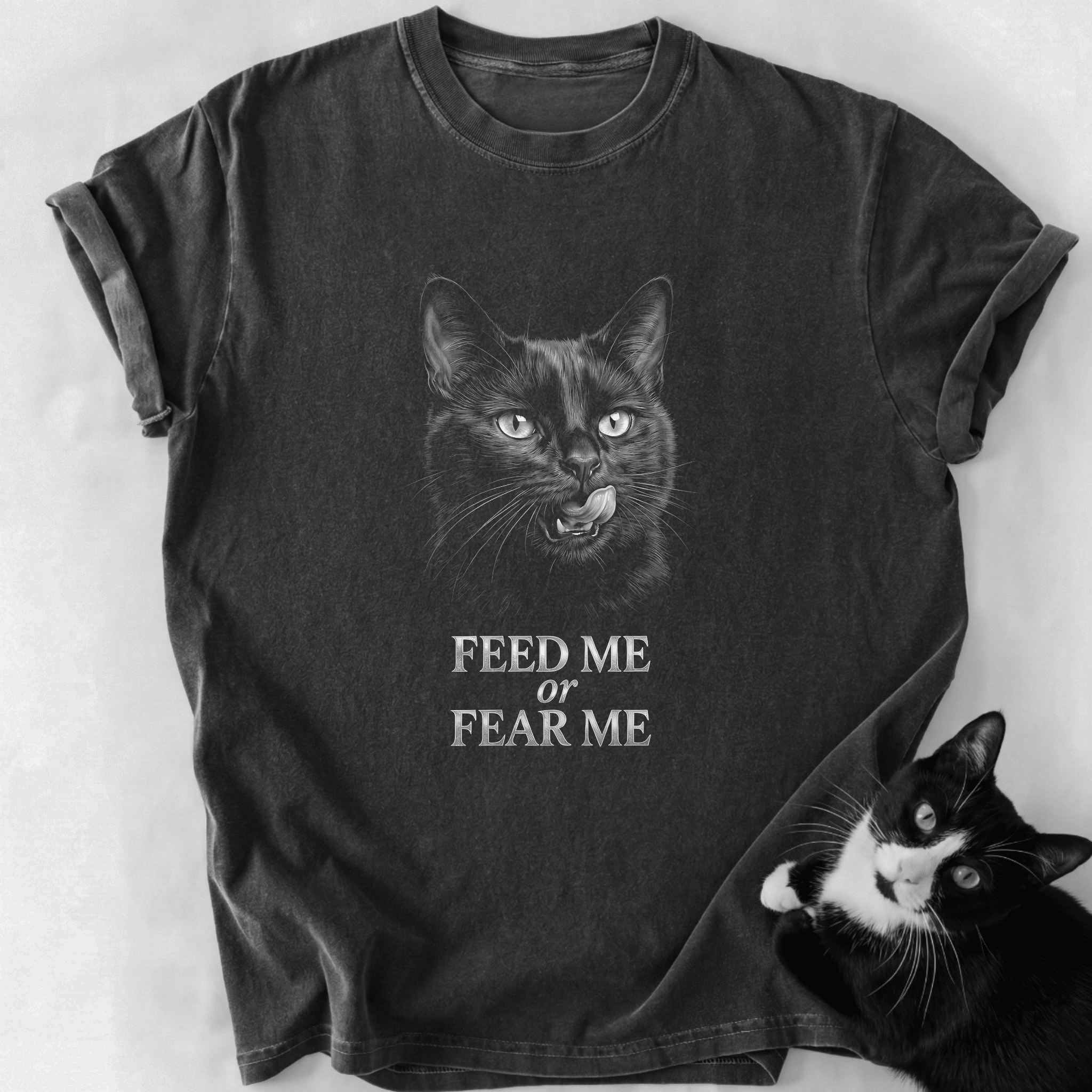 Dark gray garment-dyed Feed or Fear Me cat t-shirt with relaxed fit