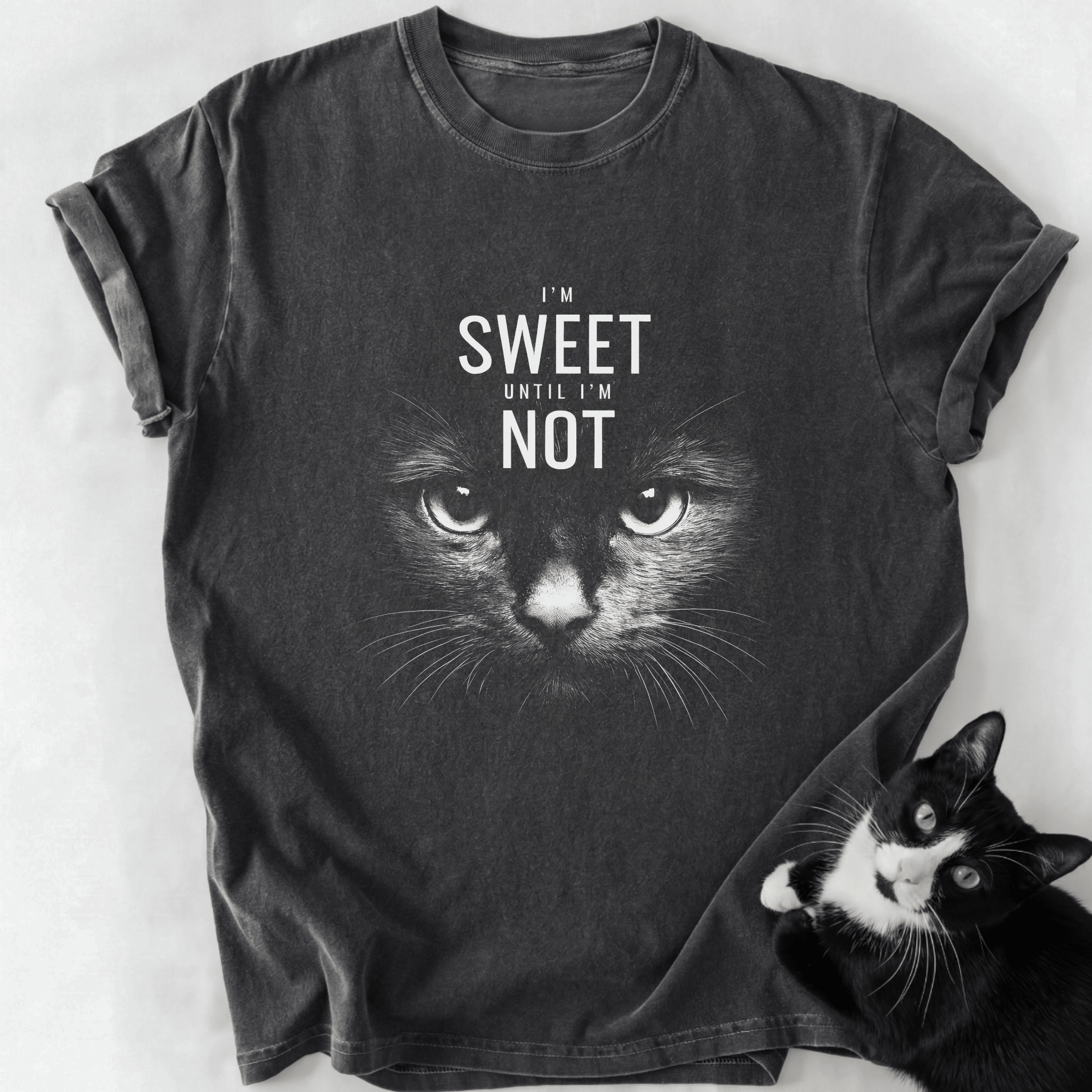 Dark gray stone-washed cat t-shirt featuring bold 'I'm Sweet Until I'm Not' slogan