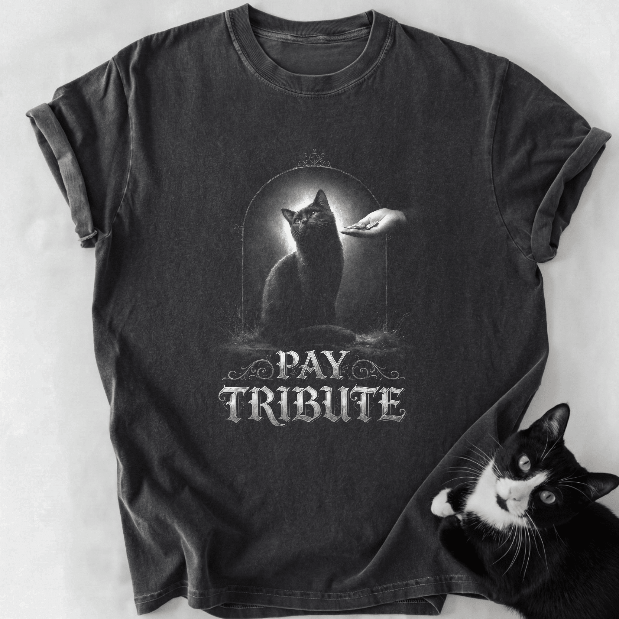 Dark gray Pay Tribute cat graphic tee with soft-washed cotton and relaxed fit