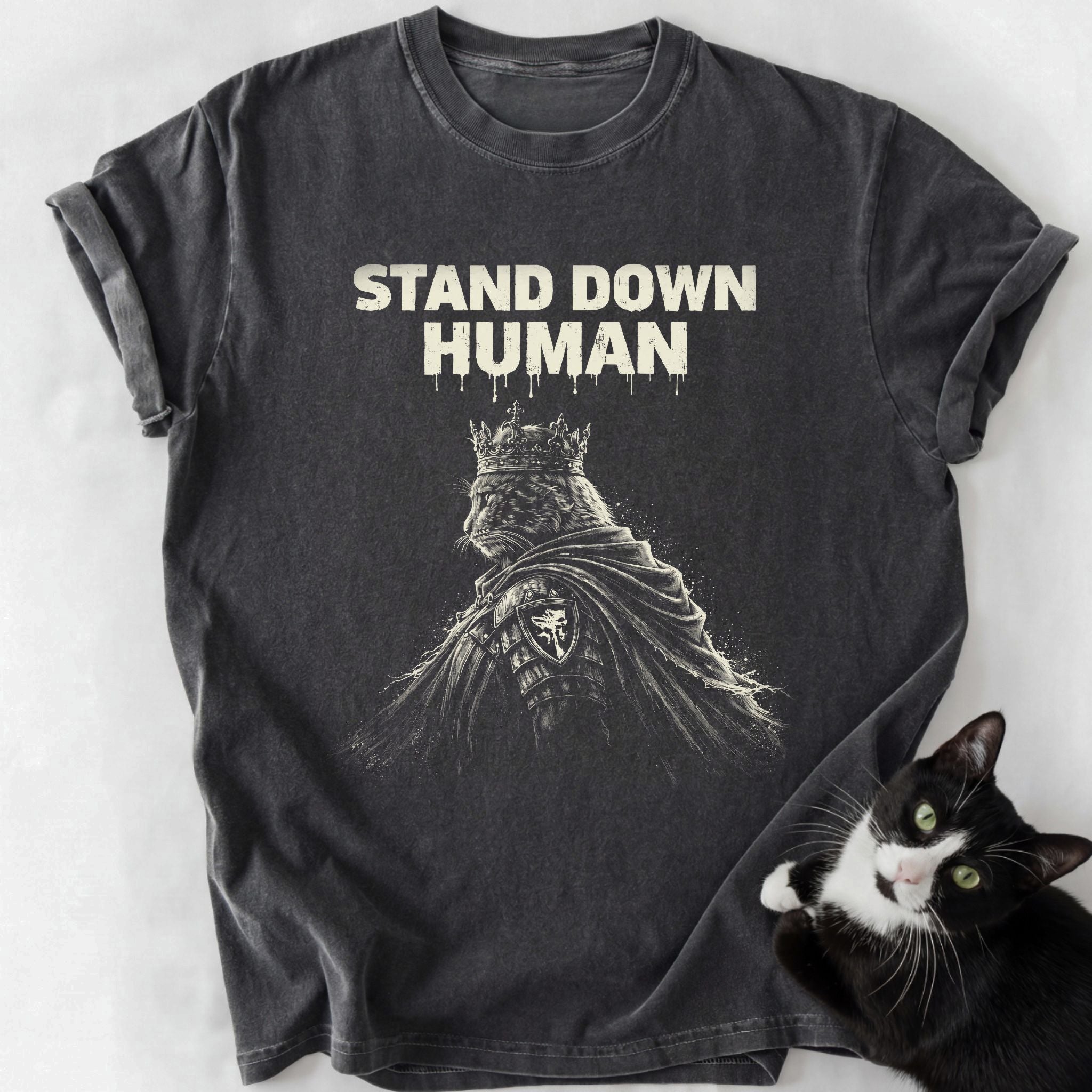 Dark gray garment-dyed t-shirt featuring distressed 'Stand Down Human' cat graphic