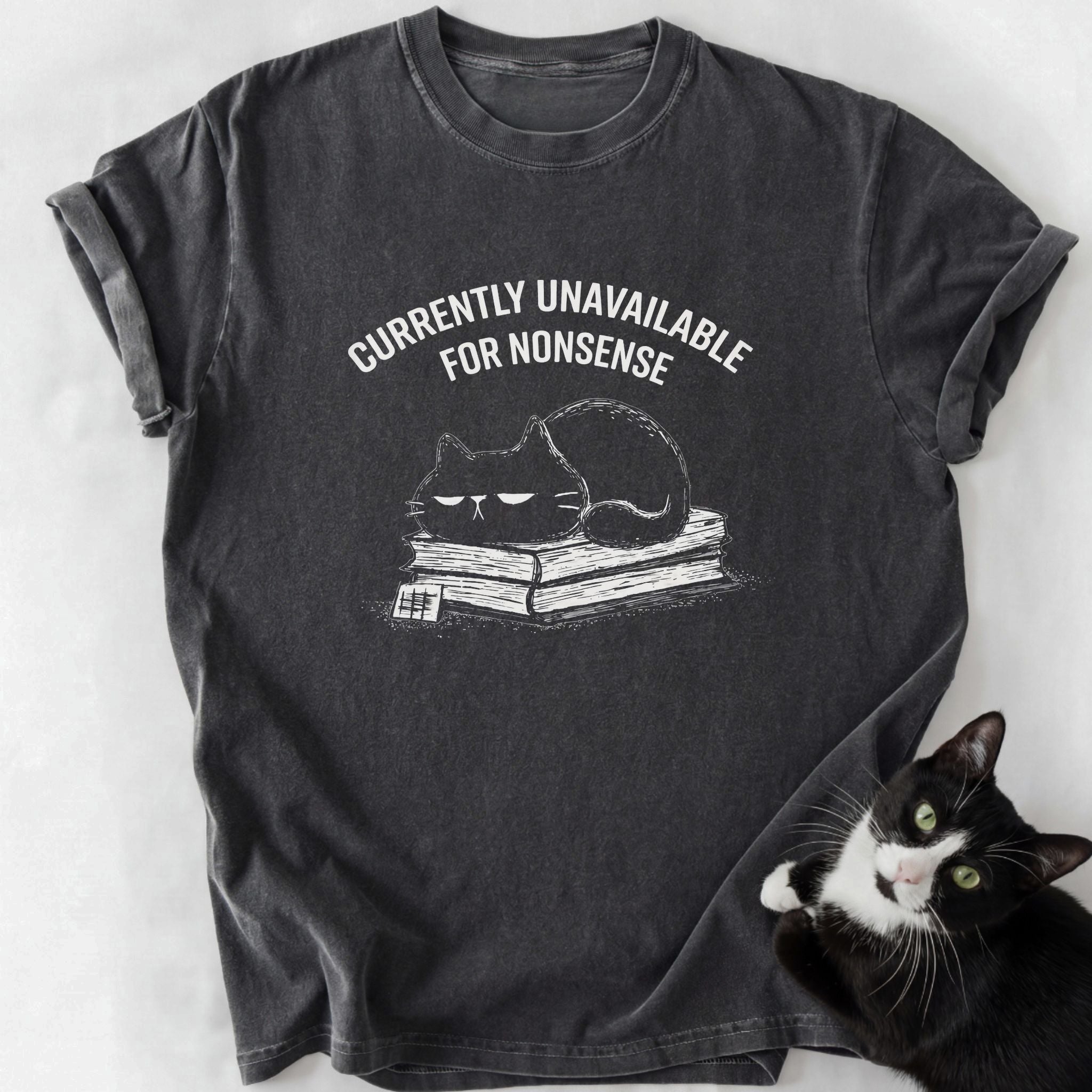 Nonsense Cat T-Shirt dark gray relaxed fit tee with double-needle stitching and cat print