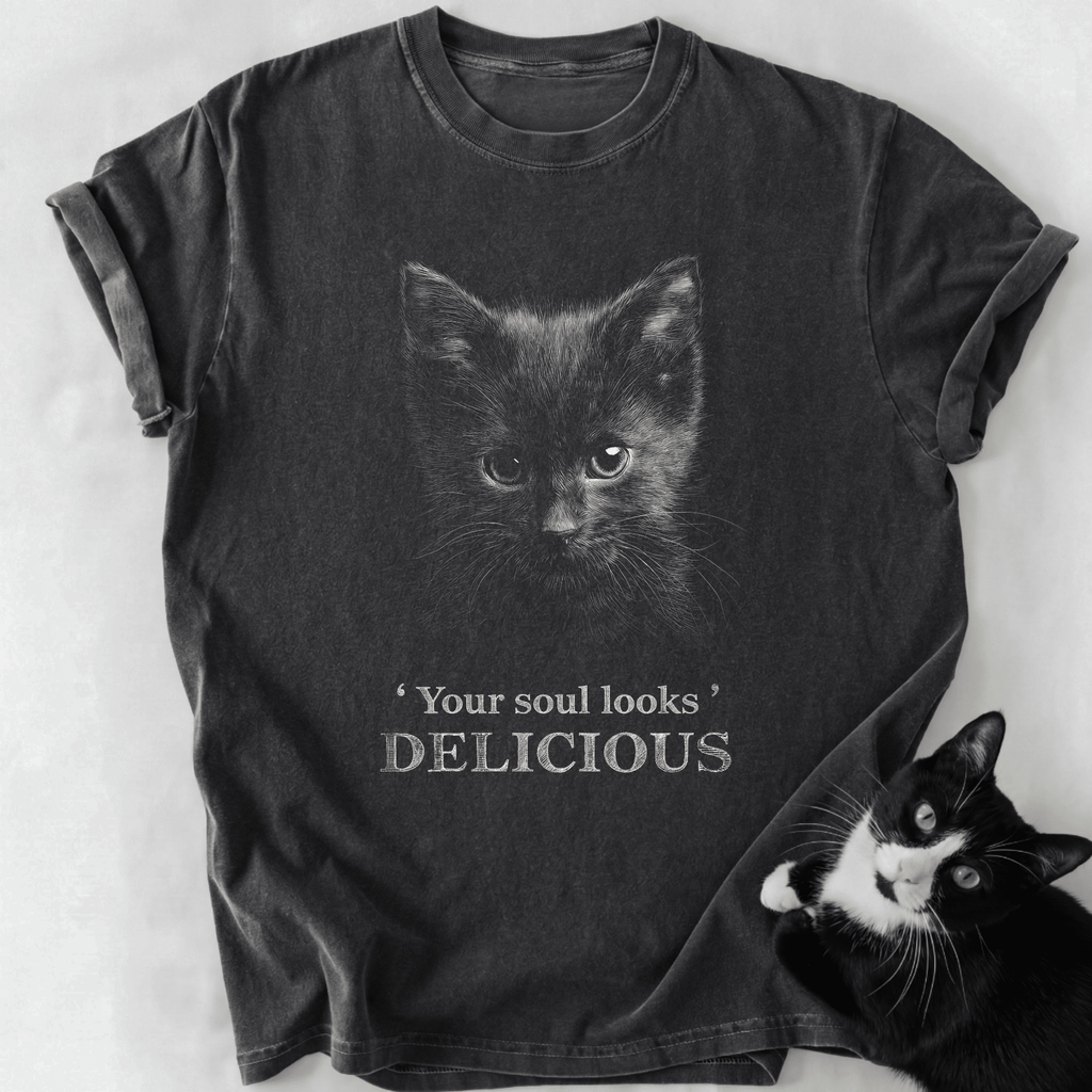 Dark gray heathered cat lover t-shirt featuring soul looks delicious design