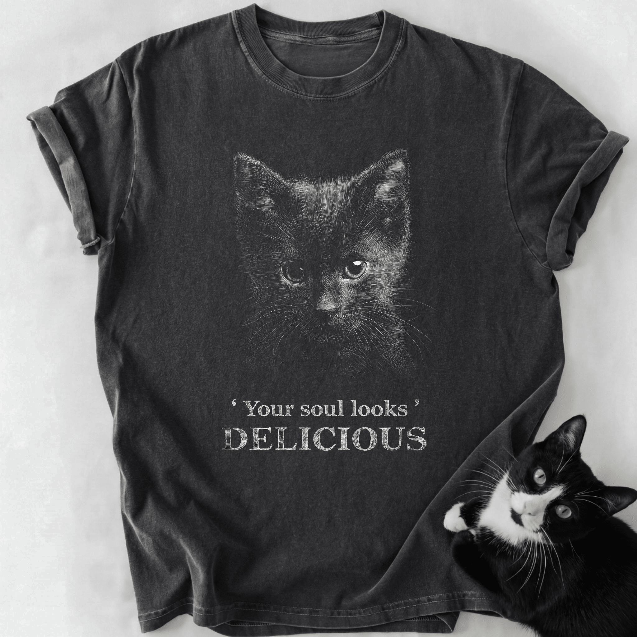 Dark gray heathered cat lover t-shirt featuring soul looks delicious design
