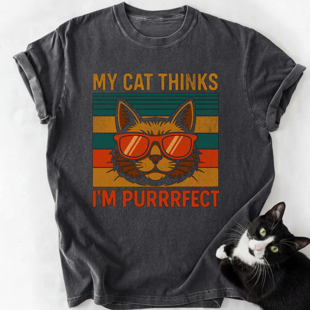 Gray heather I'm Purrrfect cat graphic tee with distressed gold text