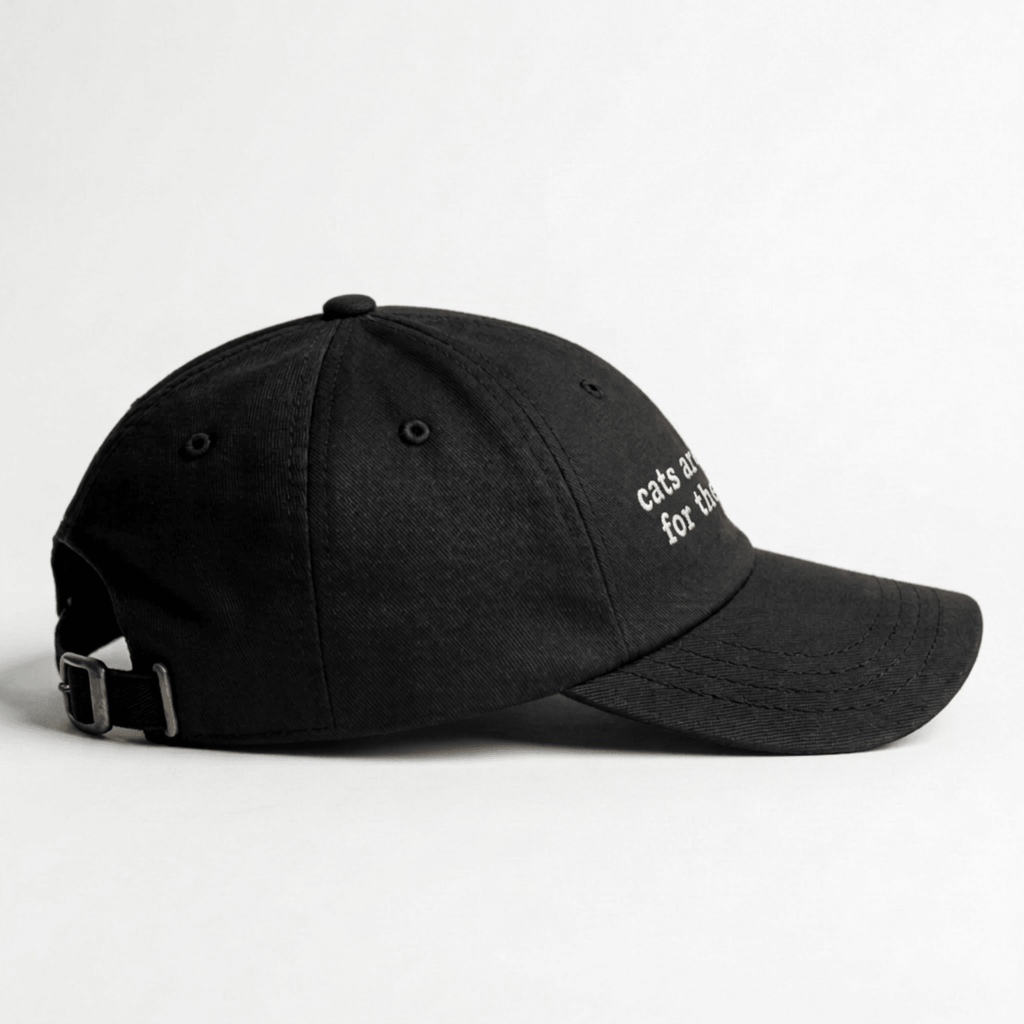 Angled front view of a black embroidered cap with cats are good for the soul text on the front