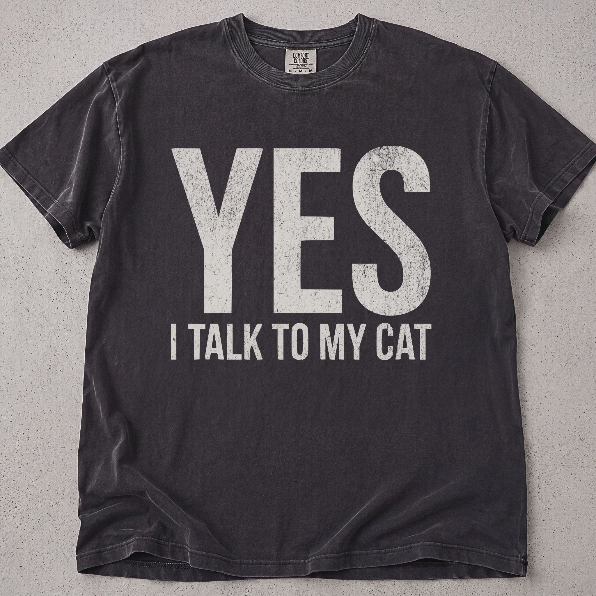 Yes, I Talk To My Cat T-Shirt