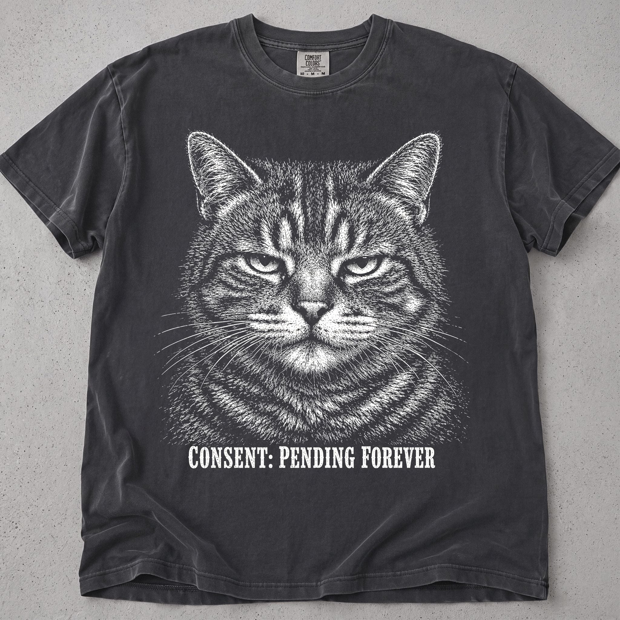 Pepper Pending Forever cat t-shirt with a stern tabby cat graphic, front flat lay