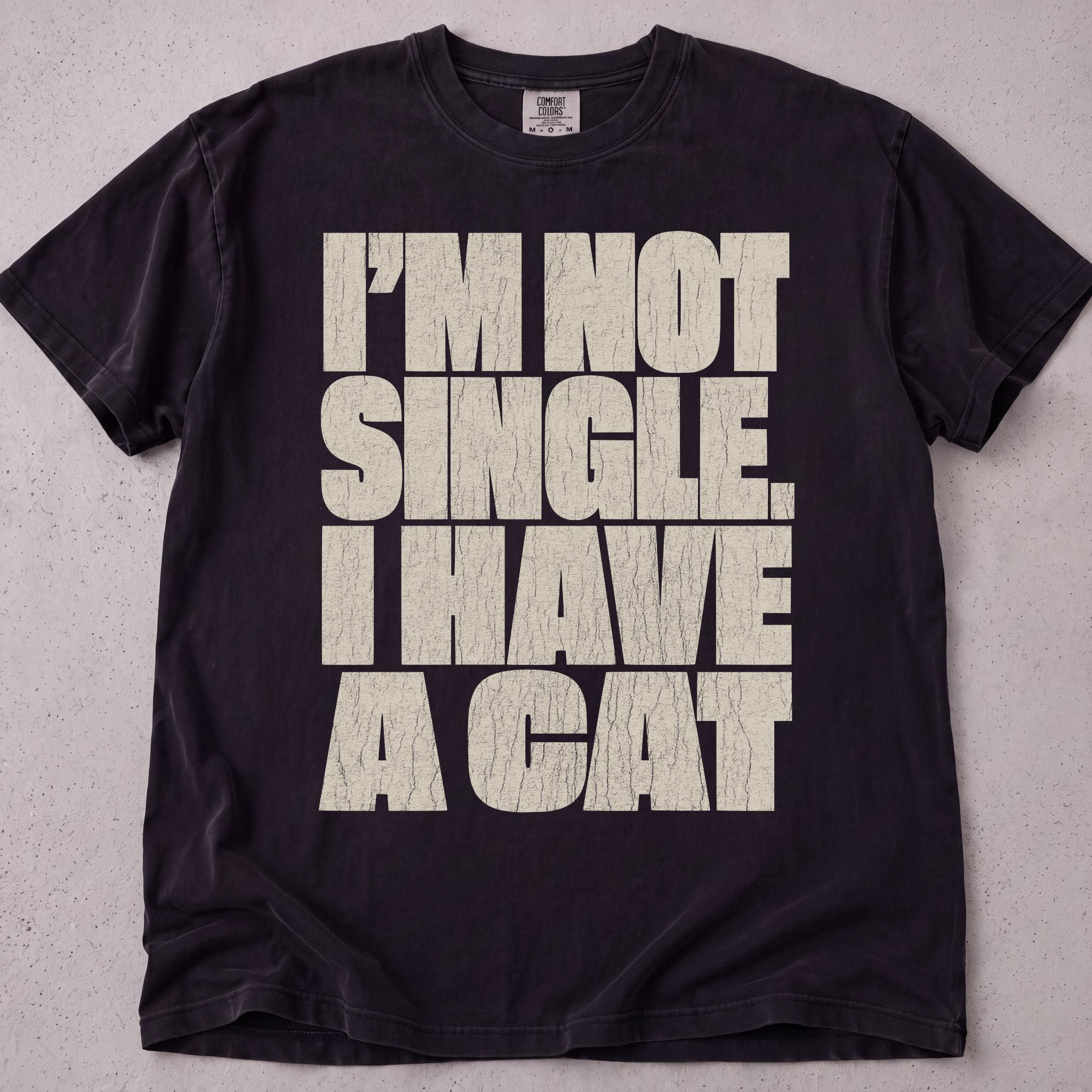 I Have A Cat T-Shirt