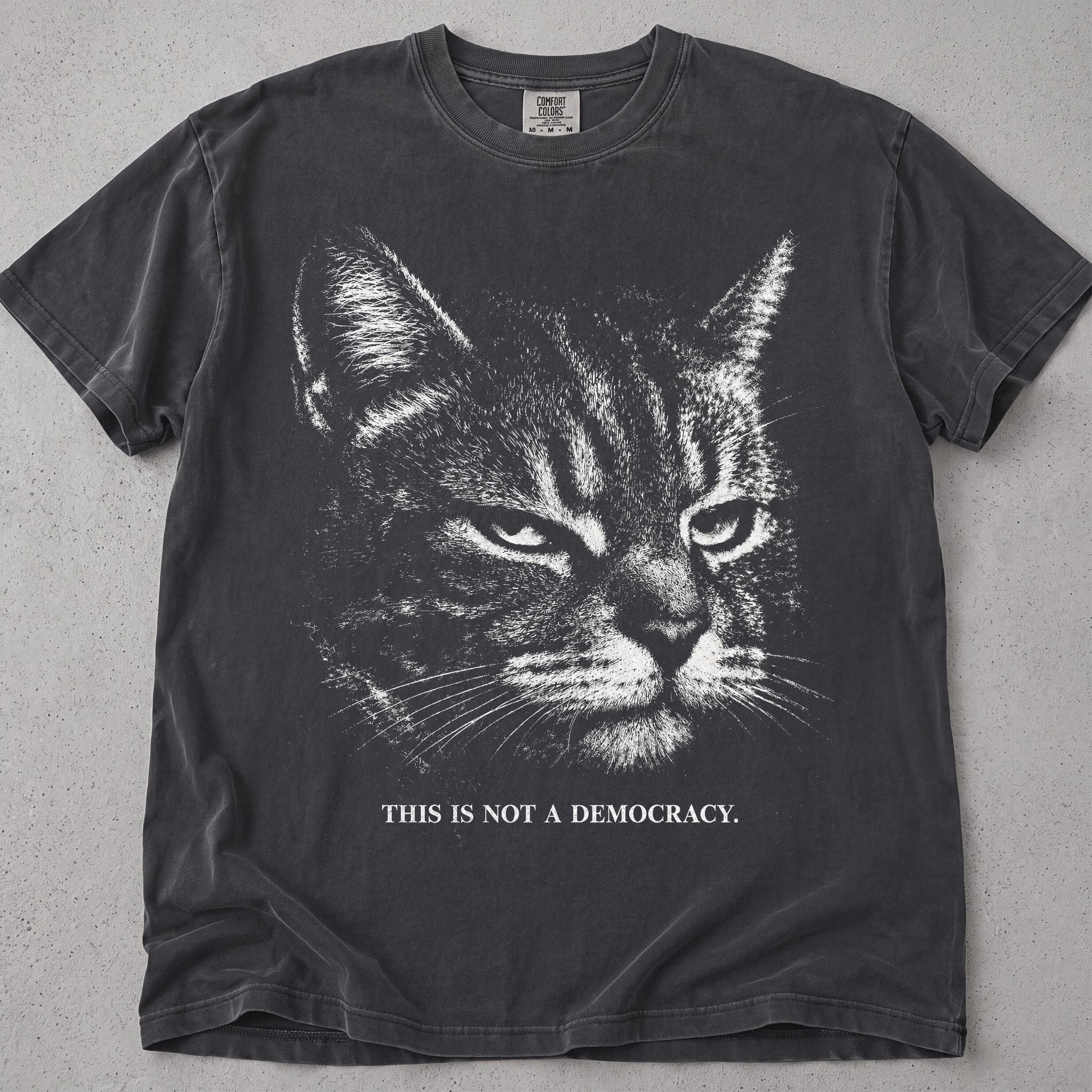 Pepper cat t-shirt with stern tabby cat and This Is Not A Democracy text, front flat lay